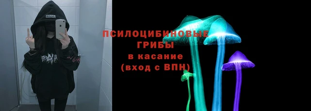 мет Арсеньев