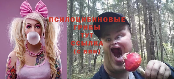 дмт Армянск