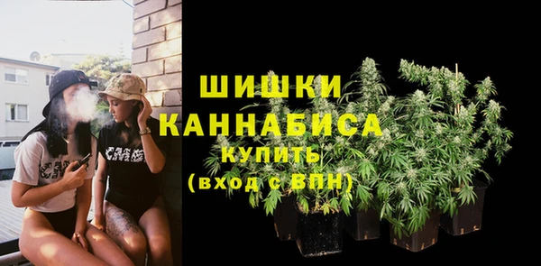 сатива Балабаново